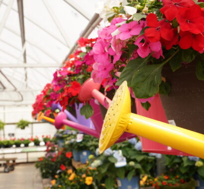 gardencenterslider9