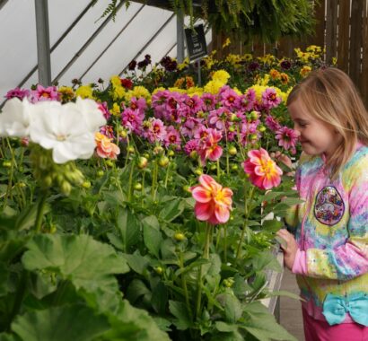 littlegirlgardencenterslider10