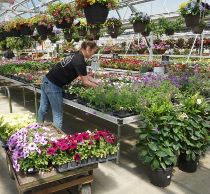 womangardencenterhomepage